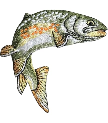 Pesca Alla Trota Con Esche Artificiali, I Principi Di Base Per Iniziare