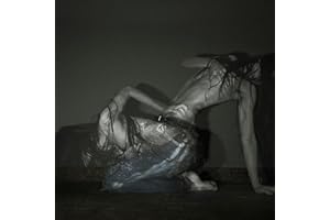 Something Is a Shell . (Vinyl)