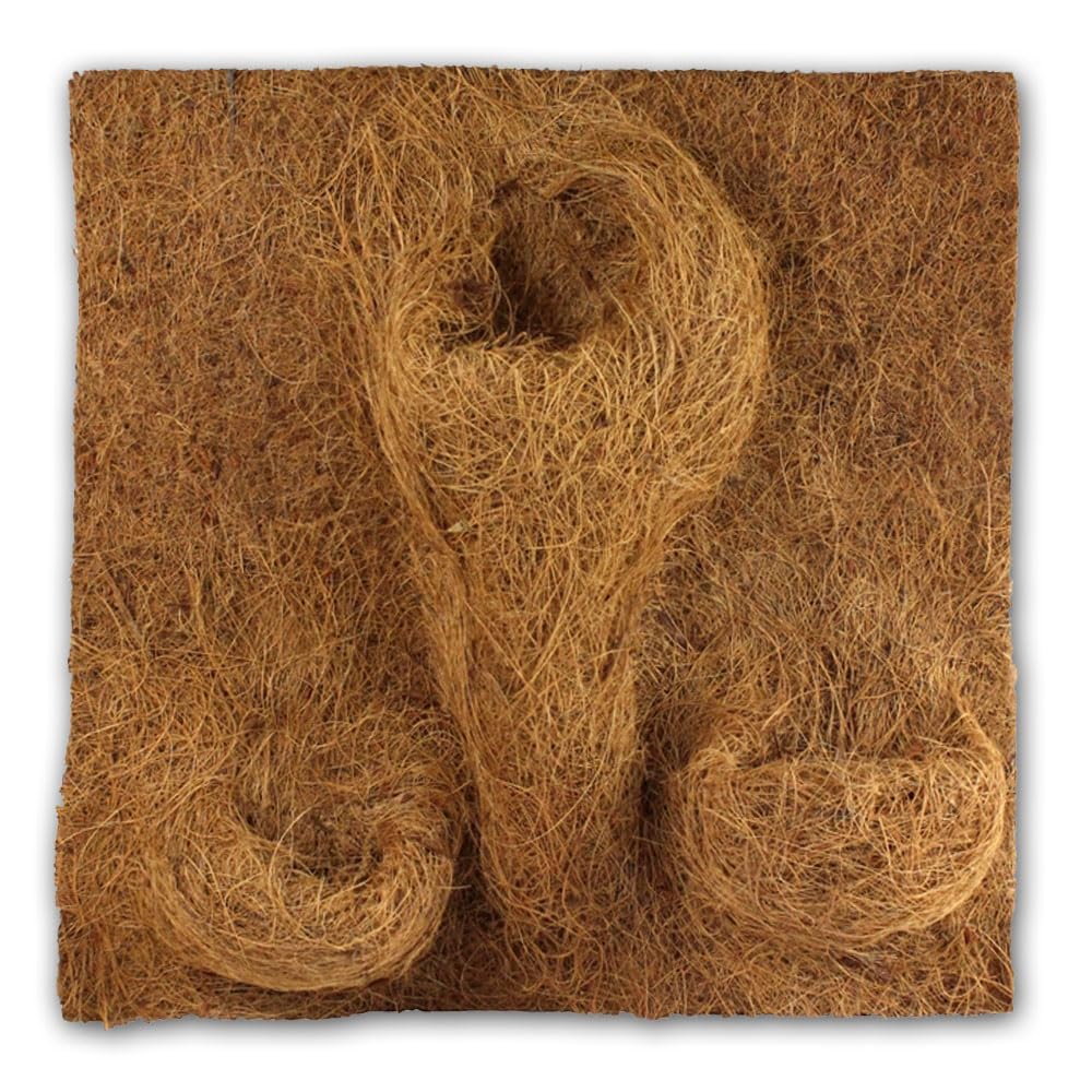 Reptiles Planet Habitat Decoration Planting Background 40 x 40 x 1 cm