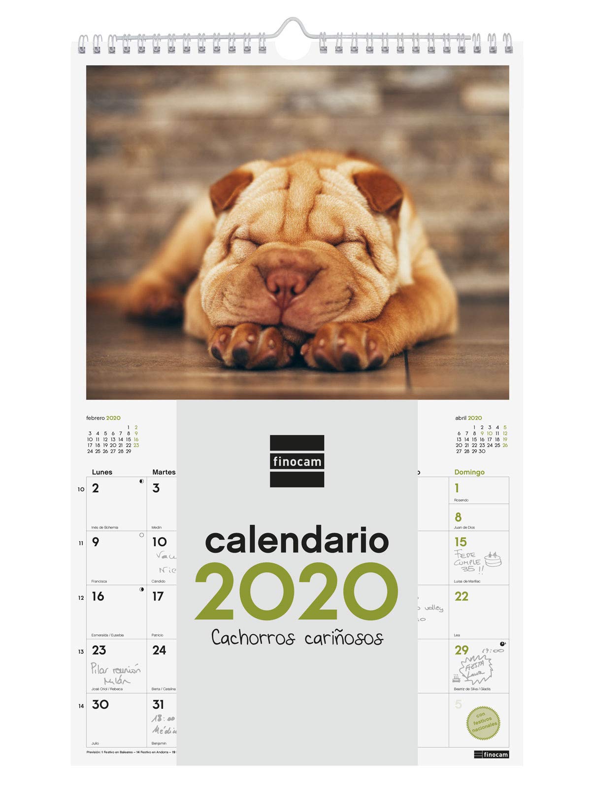 Finocam – Wall Calendar 2020 Spiral Images 25 x 40 Spanish Puppies