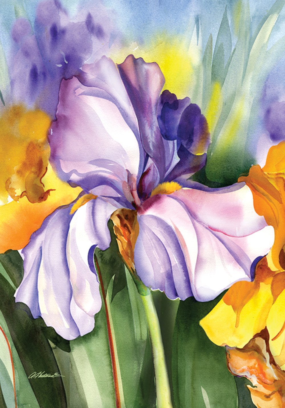Best Iris Flower Garden Flag