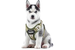 Tacwild No Pull Dog Harness - Adjustable Reflective Dog Vest with Metal Snap, Soft Breathable Mesh No Choke Puppy Harness, Easy to Put on & Take Off (Green-XS)