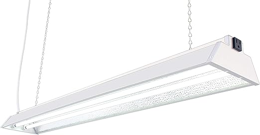 Amazon Com Durolux Dl842n T5 4ft 2 Fluorescent Lamps Grow