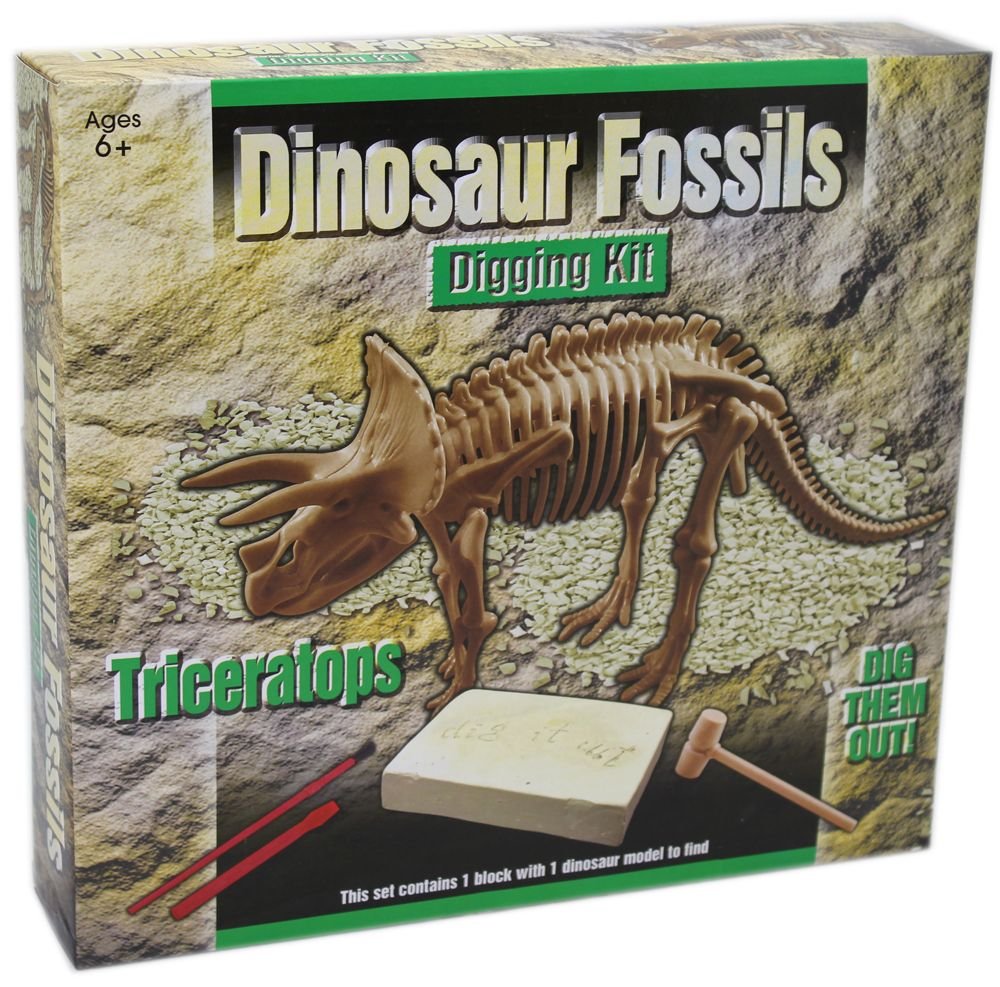 Dig Out Dinosaur Skeleton Fossil Paleontology Archaeology Excavation
