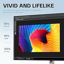 Dell P2425HE Monitor - 24 Inch, Full HD 1080p