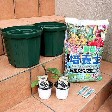 Amazon すずなりとげ無しなす 中長ナスタイプ の苗2個 資材セット スリット鉢8号2個 培養土12l スティック肥料 2個 野菜苗 資材セット 即出荷 単為結果 たんいけっか 品種なので確実に実がなります 浅漬けにも加熱調理にも向く万能タイプの中長ナスです 露地