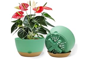 Koalaime 10 Inch Pots for Indoor Plants, Large Self Watering Planters with Drainage and Saucers, Plastic Outdoor Flower Pot, Set of 2, Green