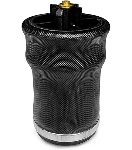 Amazon.com: Hendrickson 69782-002L - Front Suspension Air Spring