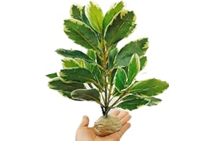 KERUIDENG Reptile Plants Terrarium Artificial Leaves Reptile Tank Decorations for Bearded Dragon Lizard Snake Geckos Chameleon Amphibian Habitat Terrarium Decor