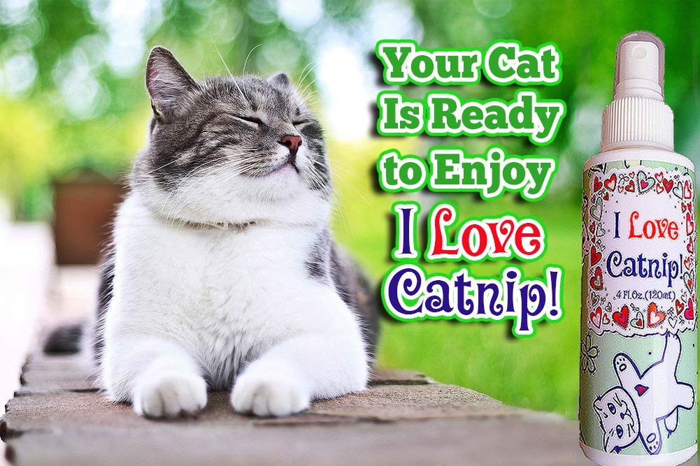 What Is Cat Spray Made Of