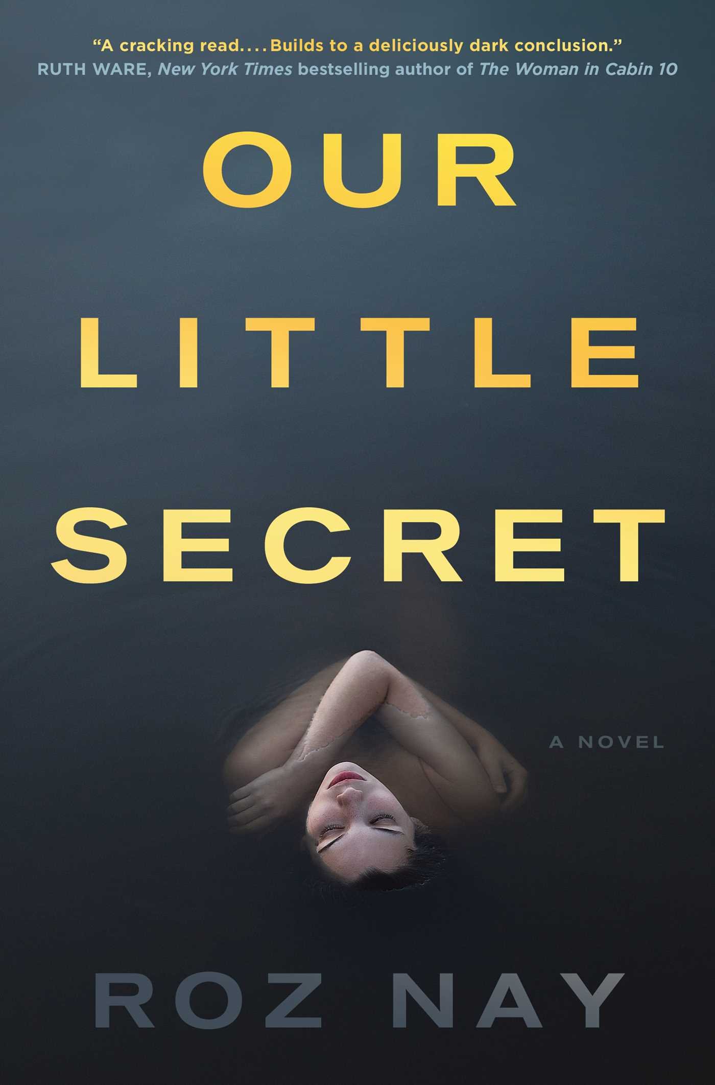 Our Little Secret Nay Roz 9781501142802 Amazon Com Books