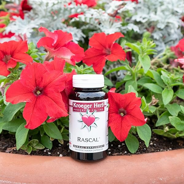 KROEGER HERB PRODUCTS, RASCAL, BALANCED GUT & HEART HEALTH WITH HERBS LIKE GARLIC, CAYENNE, PUMPKIN SEEDS, VEGETARIAN, NON-GMO, GLUTEN FREE, NO PRESERVATIVES, HEALTHY MICROBIAL BALANCE, MADE IN USA