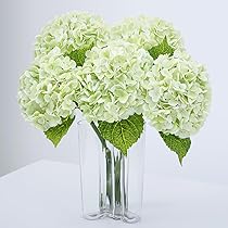 Hydrangea4937　0502 指定07 Hydrangea4937 0502 指定07 コレクション Hydrangea4937 Diamond