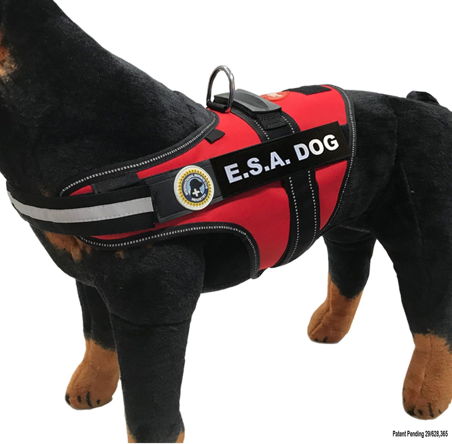 esa dog gear