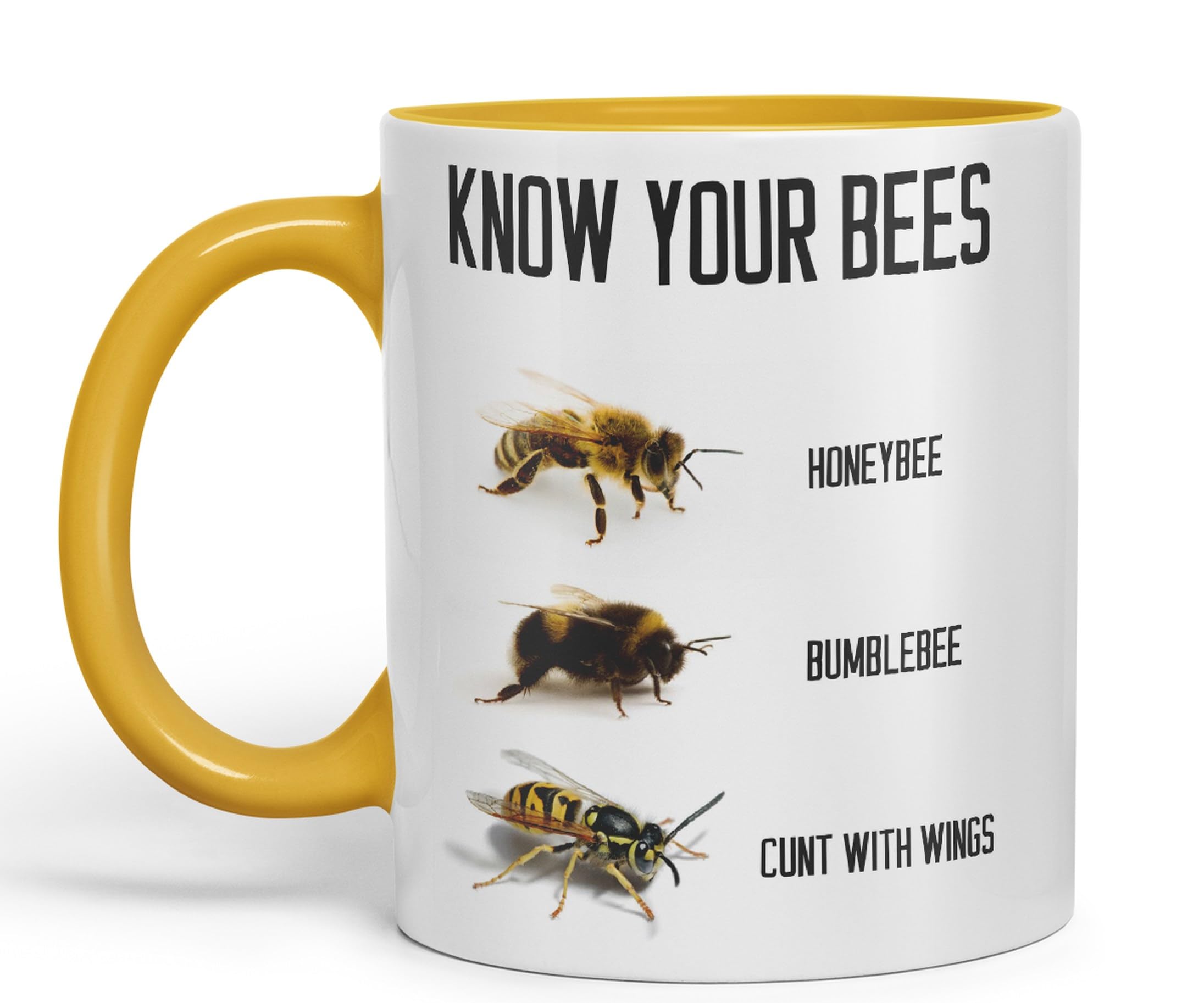 Vixar Know Your Bees Rude Funny Ceramic 330 ml Coloured Mug Cup Gift Tea Coffee Christmas Office Home Joke (G Yellow)