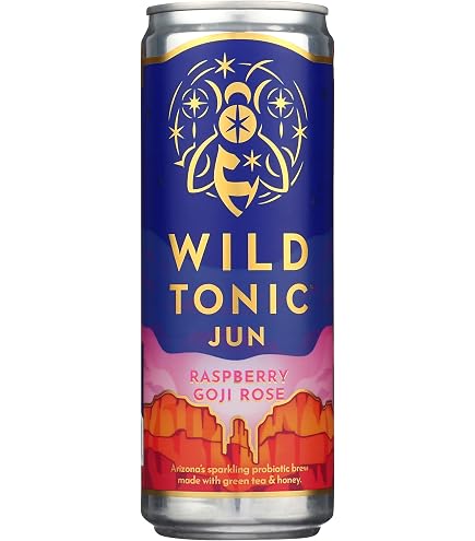 Amazon.com: Wild Tonic, Kombucha Blackberry Mint Organic, 12 Fl Oz