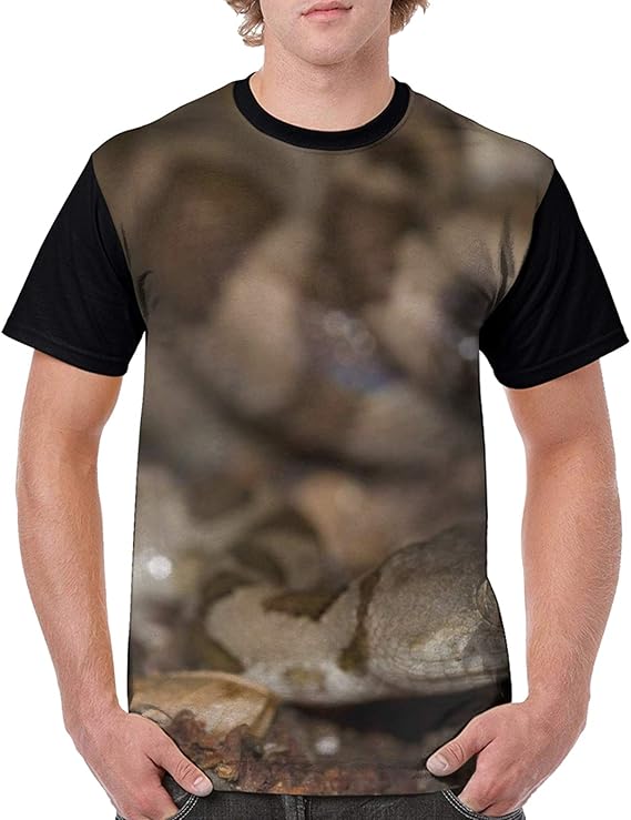Amazon Co Jp モナ 島 蛇 Tシャツメンズ 速乾 半袖 おしゃれ 男子 速乾シャツアウトドア 面白いアニマル 日常t Shirt 個性 服 ファッション小物