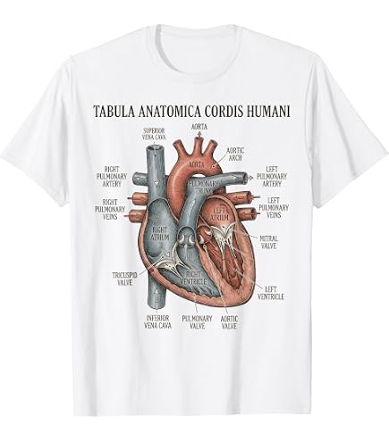 Amazon.com: Anatomical Heart Vintage Heart Anatomy T-Shirt