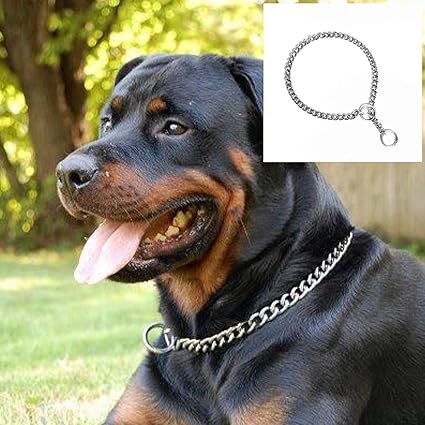 choke chain for rottweiler