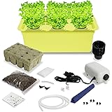 Smart herb garden