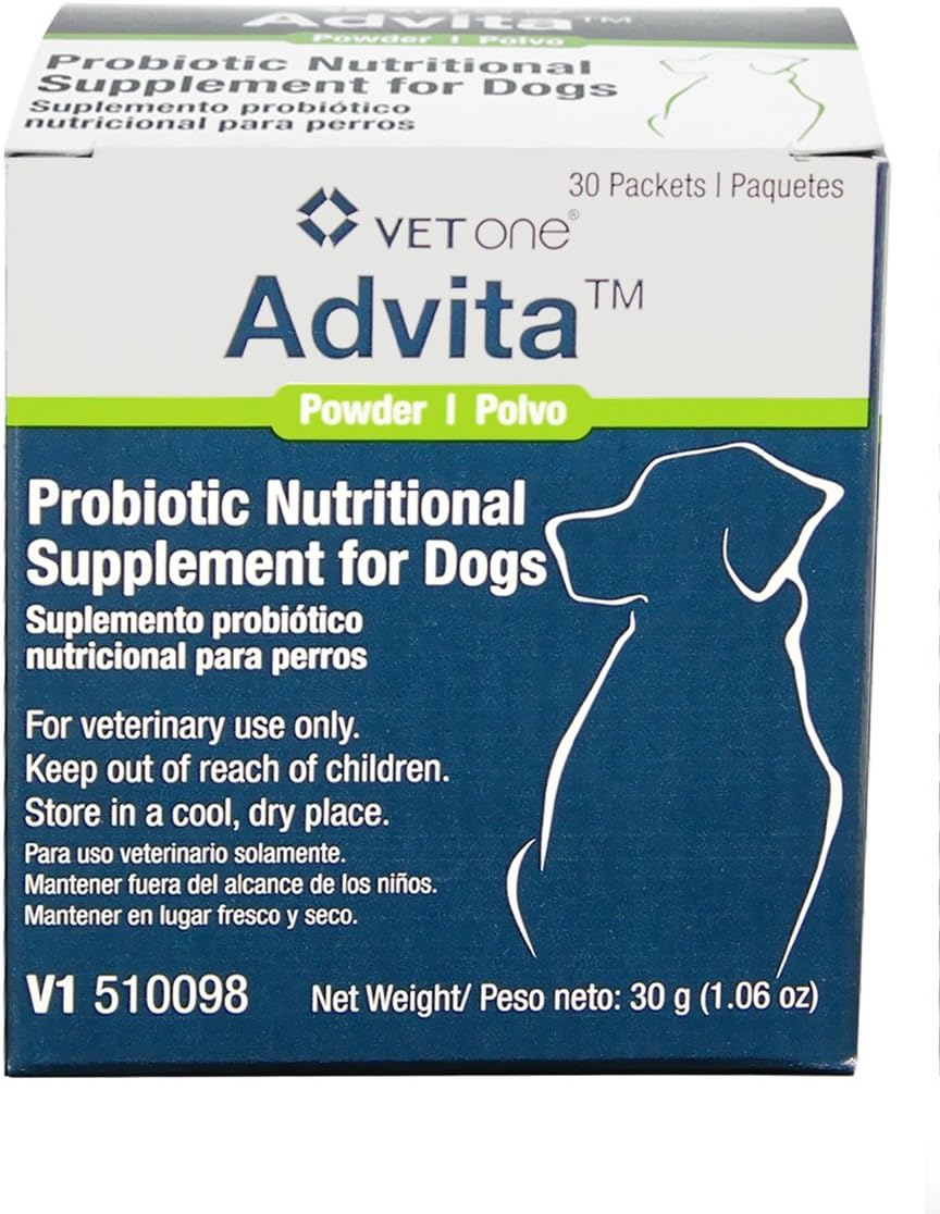 bedlington whippet cross puppies for sale