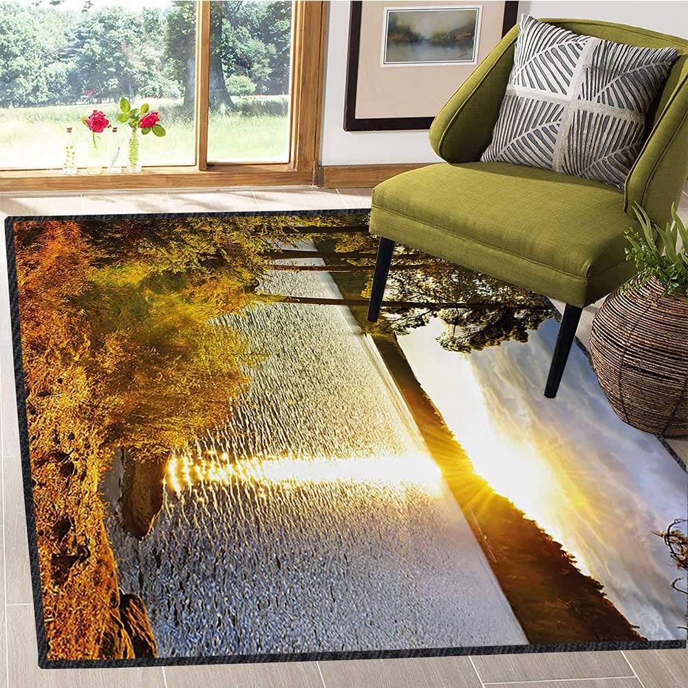 Area Rugs Canada Ontario | Bryont Rugs and Livings