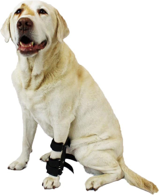 Pet Splint for Dogs Carpal Foot Splint for Dogs with Arthritis and