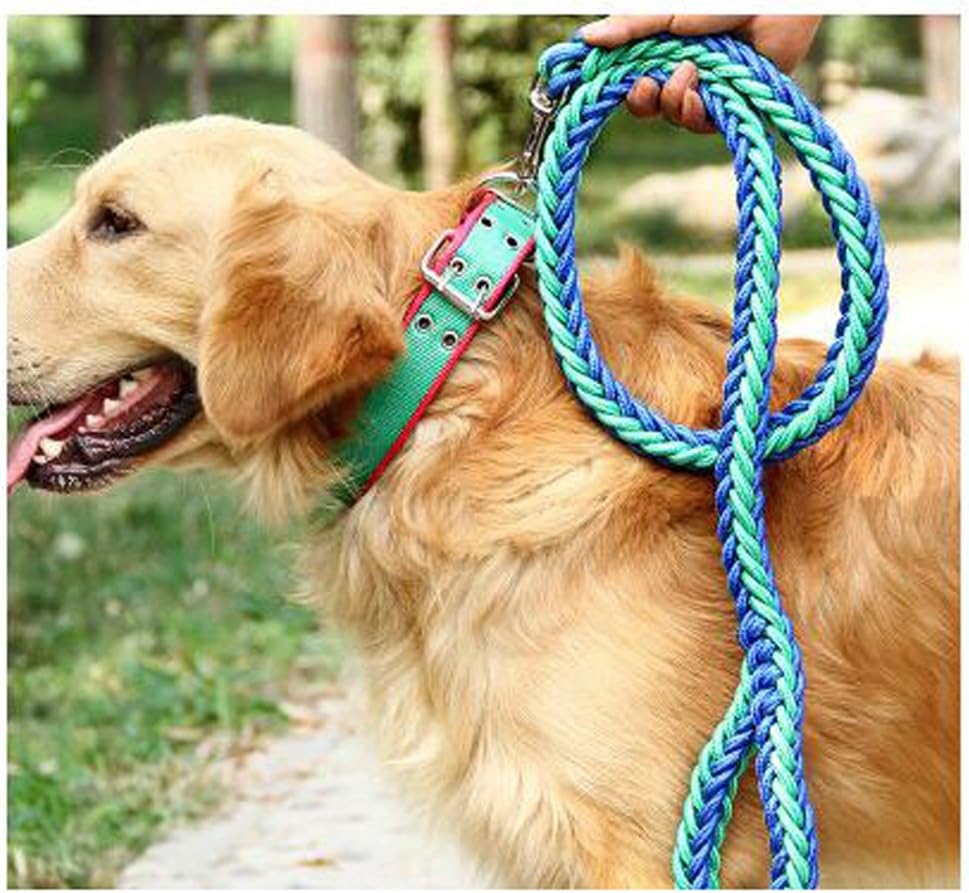 kmr kitten formula walmart