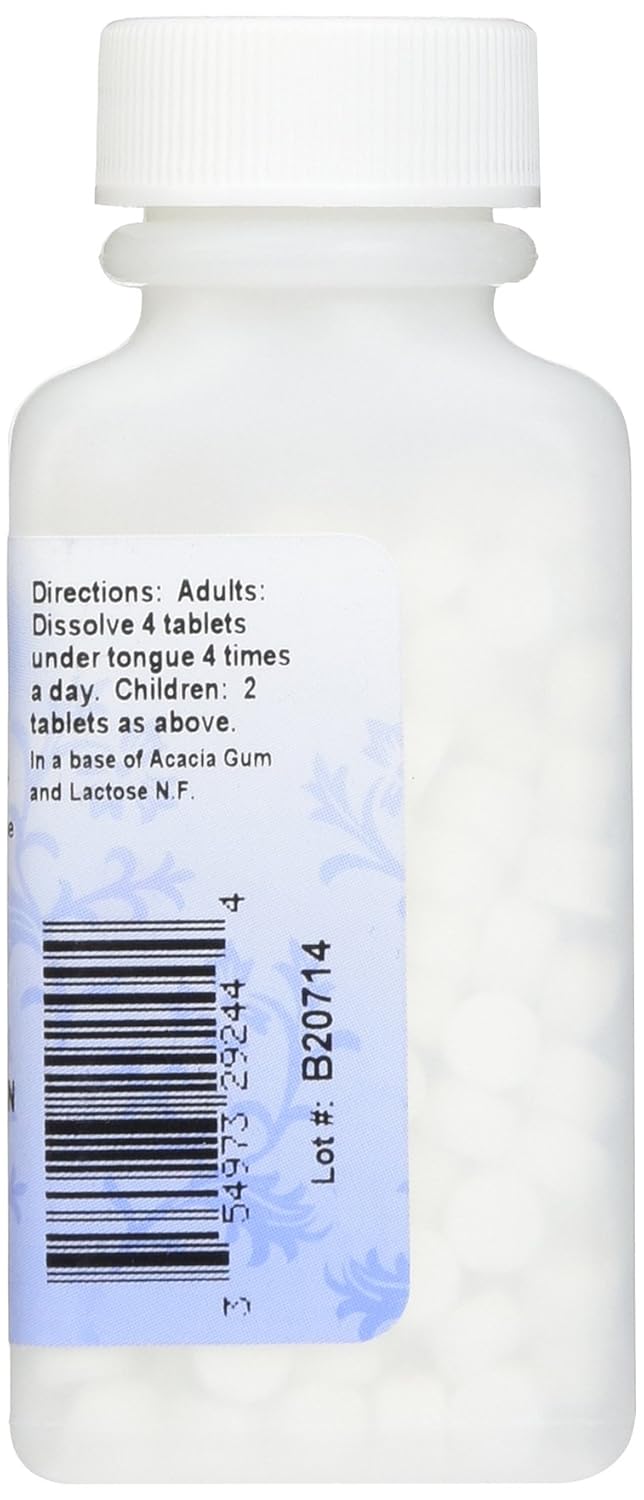 Back Pain and Minor Arthritis Relief, Natural Remedy by Hyland's, Rhus Tox. 30X Tablets, 250 Count: Beauty