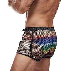 FIROTTII Mens Mesh Shorts Sexy Boxers See Through