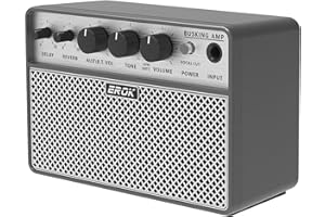 EROK Acoustic Guitar Amp - Portable 2-in-1 Amplifier for Vocal & Guitar with Digital Delay/Reverb Effects, Headphone Output & OTG Recording, Compact Amp for Practice/Travel