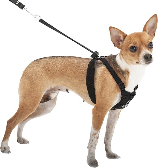 dog pulling harness amazon