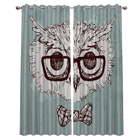 Amazon Com Hand Painting Funny Owl Animal Pattern Curtains