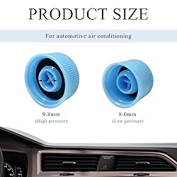 povtii Replacement Valve Caps for Car Air