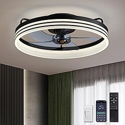 LUDOMIDE Ceiling Fans with Lights, Flush Mount