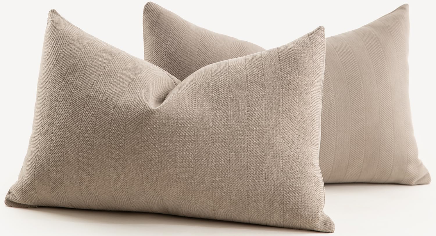 Mandioo Pack of 2 Chenille Cushion Covers Soft Comfortable Durable Throw Pillow Cases for Home Decor Sofa Couch Living Room Bedroom 12 x 20 Inch 30x50 cm Taupe