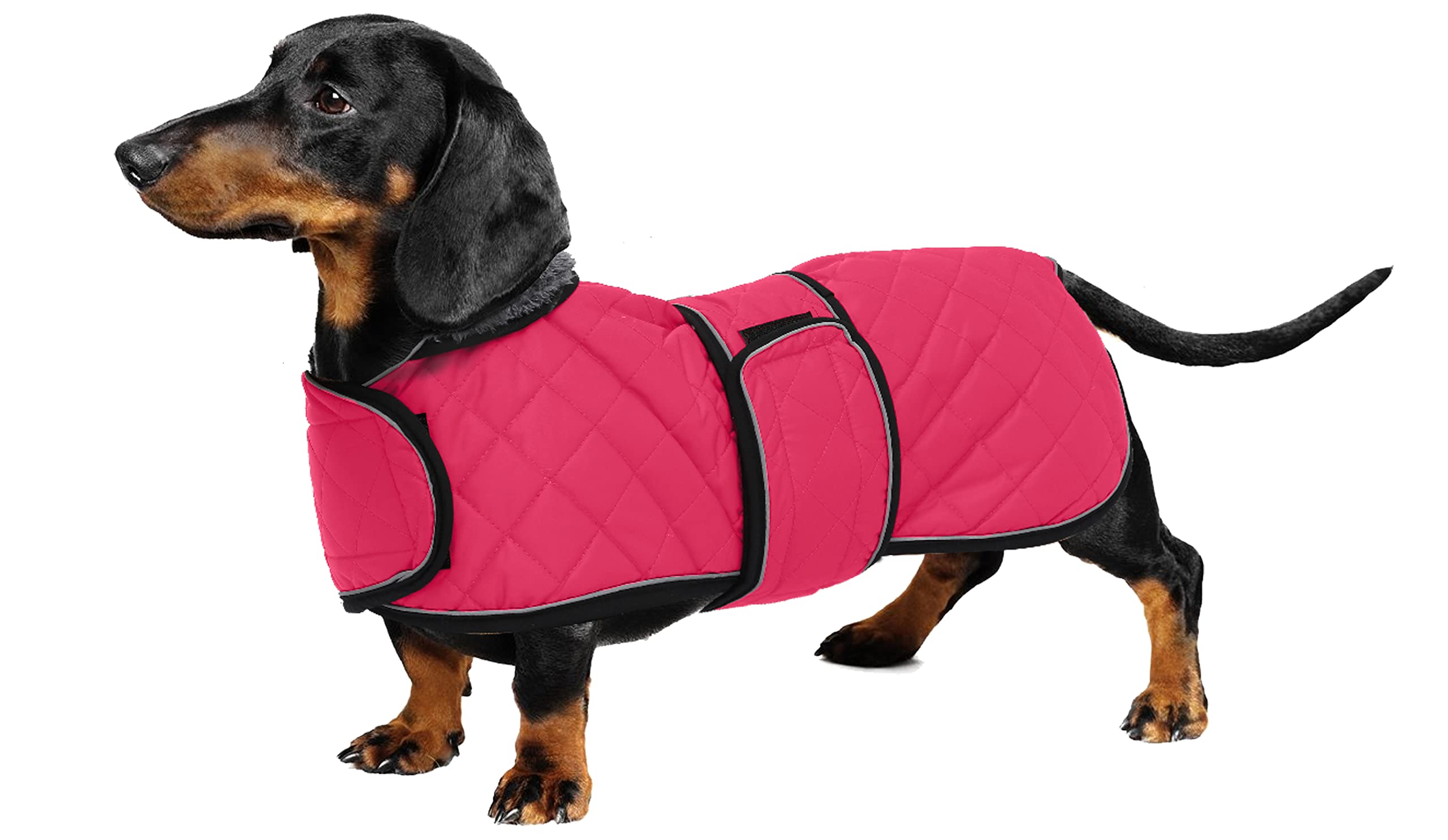 Geyecete Warm Thermal Quilted Dachshund Coat, Dog Winter Coat with Warm Fleece Lining, Outdoor Dog Apparel with Adjustable Bands for Medium, Large Dog-Pink-M