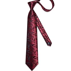 DiBanGu Silk Paisley Ties for Men Woven Necktie and