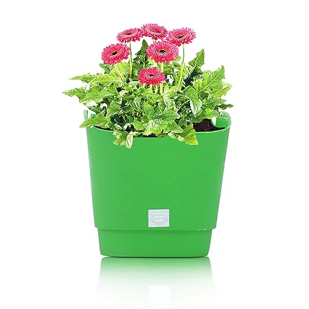 Pepper Agro Flower Pots Vertical Garden Wall Hanging Planter Parrot Green Set of 12