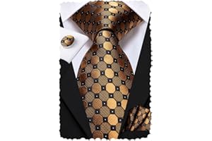 Hi-Tie Men Ties Sets Silk Stripe Paisley Necktie Pocket Square Cufflinks for Business Wedding