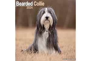Bearded Collie Calendar - Dog Breed Calendars - 2023 - 2024 wall calendars - 16 Month by Avonside