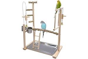 Acsist Bird Playground Parrot Playstand Bird Perch Stand Gym Natural Wood Play Stand with Swing Ladder Feeder Cups for Parakeets Cockatiels Lovebirds Conures Budgies