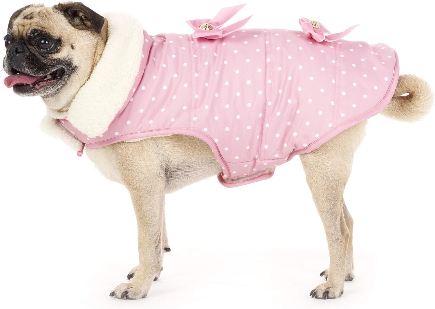 friends forever dog jacket