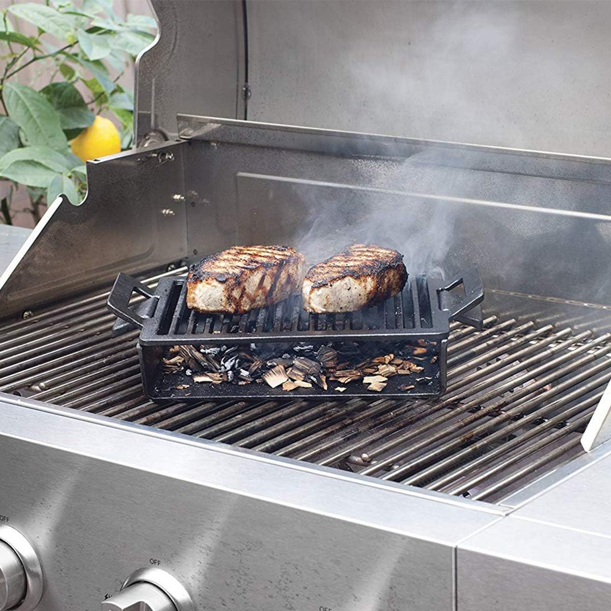 Steven Raichlen Best Of Barbecue En Fonte Grille Pour