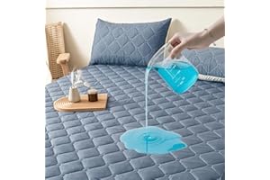 PAJEO Waterproof Mattress Protector Queen Size, Quilted Fitted Mattress Cover with 17" Stretchable Deep Pockets,Fitted Sheet Bed Mattress Cover Machine Washable for Home, Bedroom, Hotel (Blue)
