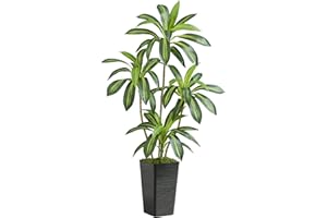 Artificial Dracaena Plants with Tall Black Planter, Evergreen Faux Tree, Indoor Fake Plants for Living Room, Entryway, Hall, 