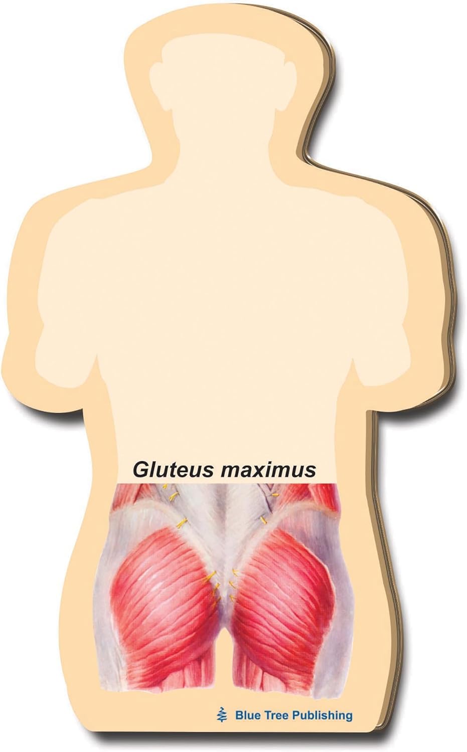 Black Muscle Butt Black Muscle Butt