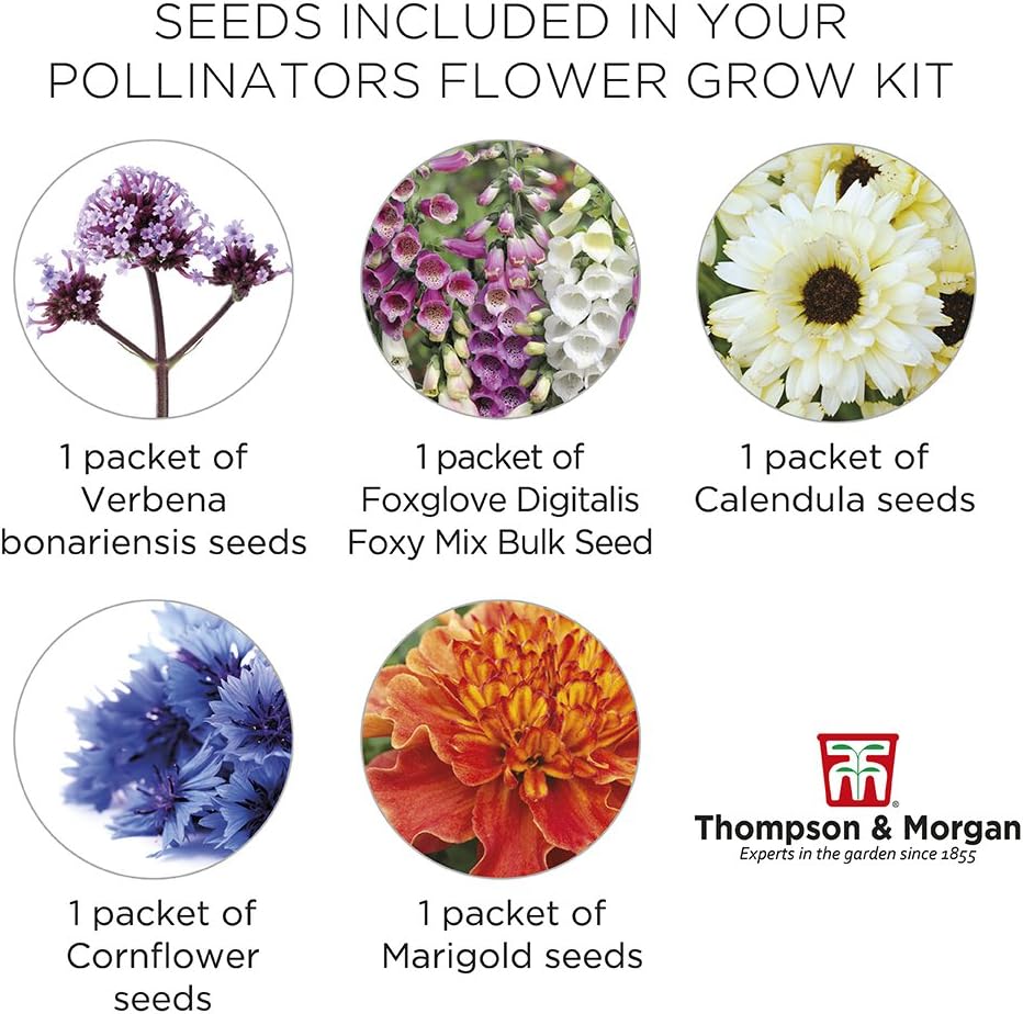Perfect for Pollinators Seed Growing Kit Gift Box - Image 4