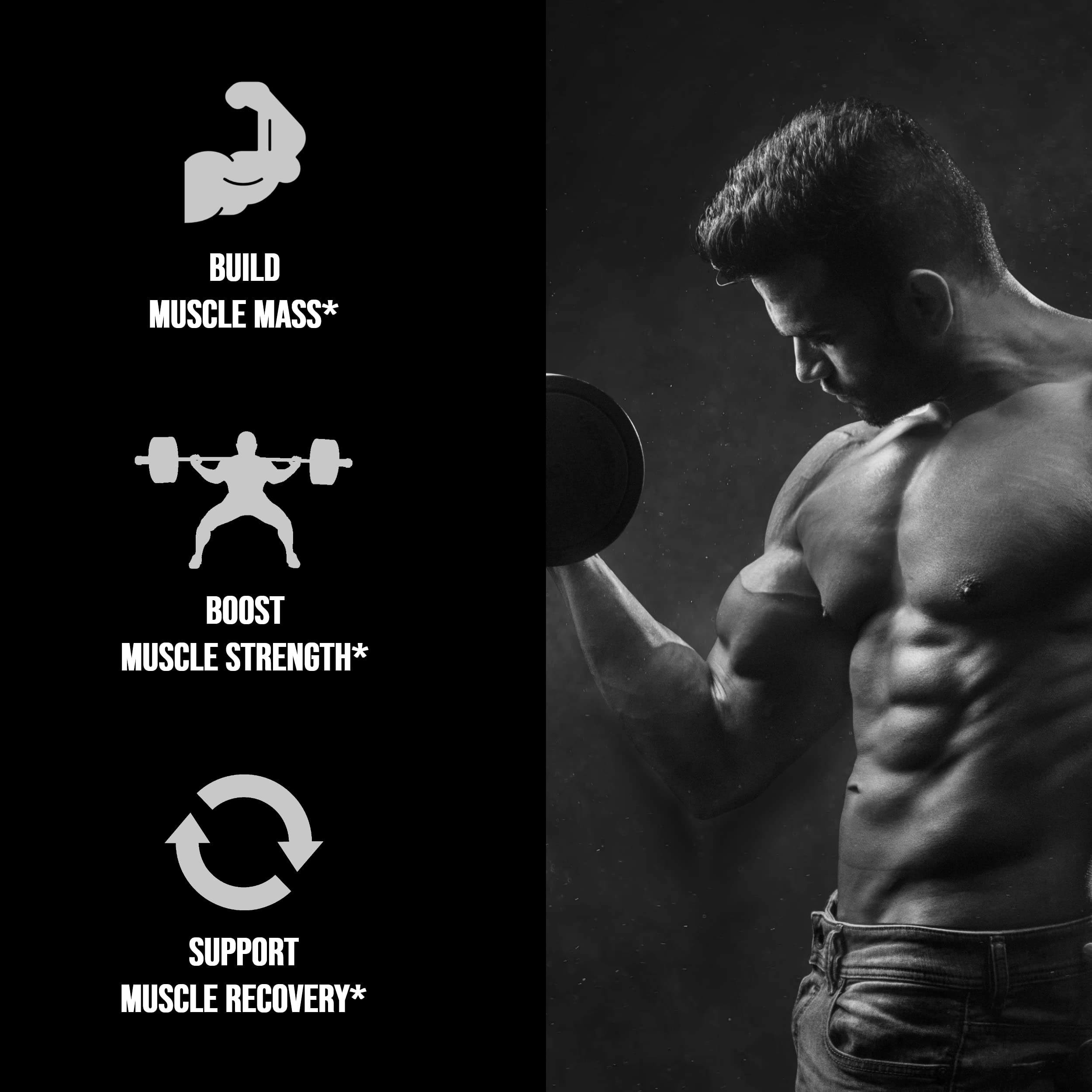 UpNourish Micronized Creatine Monohydrate Powder 400 G - Unflavored Vegan for Pre Workout, Muscle Building Pure Women and Men Instantized Supplement, 80 Servings 14.1096 Ounce