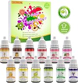 DecorRom Soap Fragrance Oil 12 Scents Set 10ml Bath Bomb Soap Making Supplies view 2